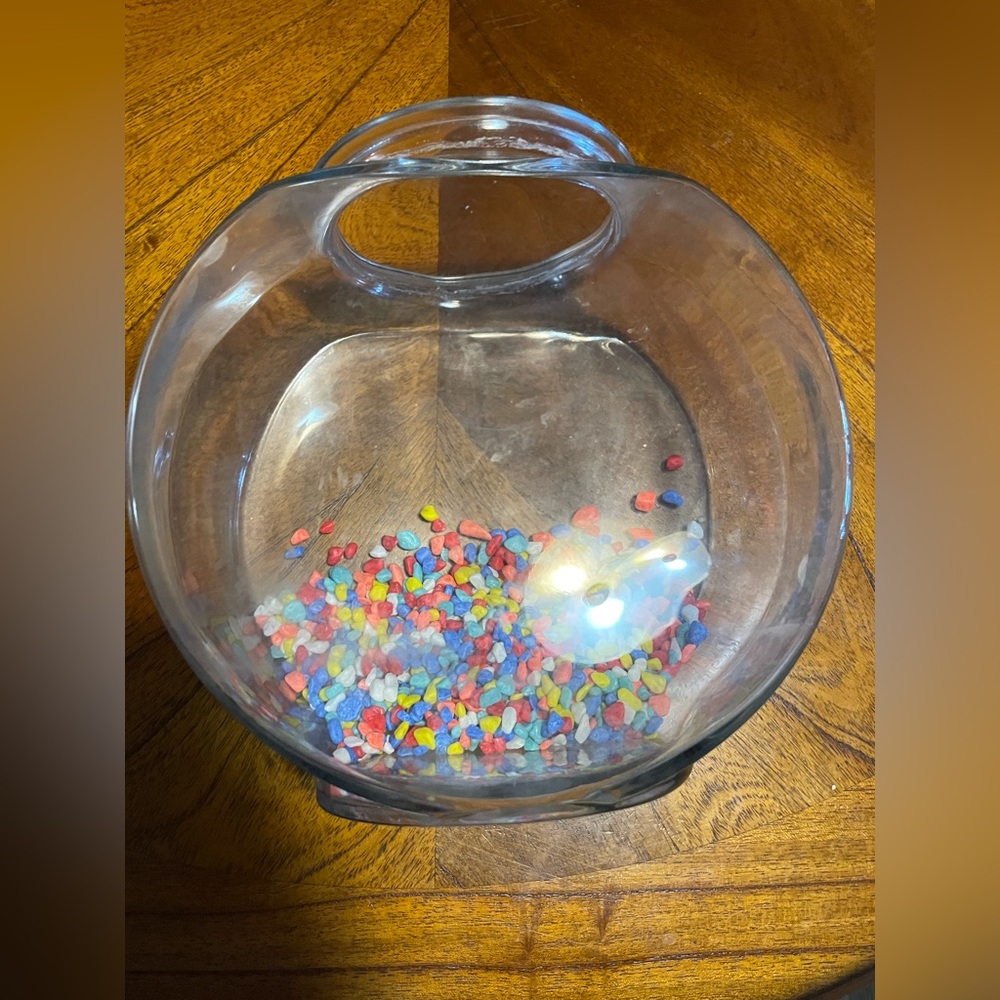 Beta Fish Bowl with Colorful Pebbles